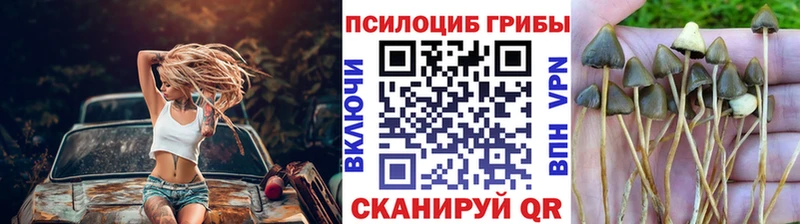 Псилоцибиновые грибы GOLDEN TEACHER  Ленинск 
